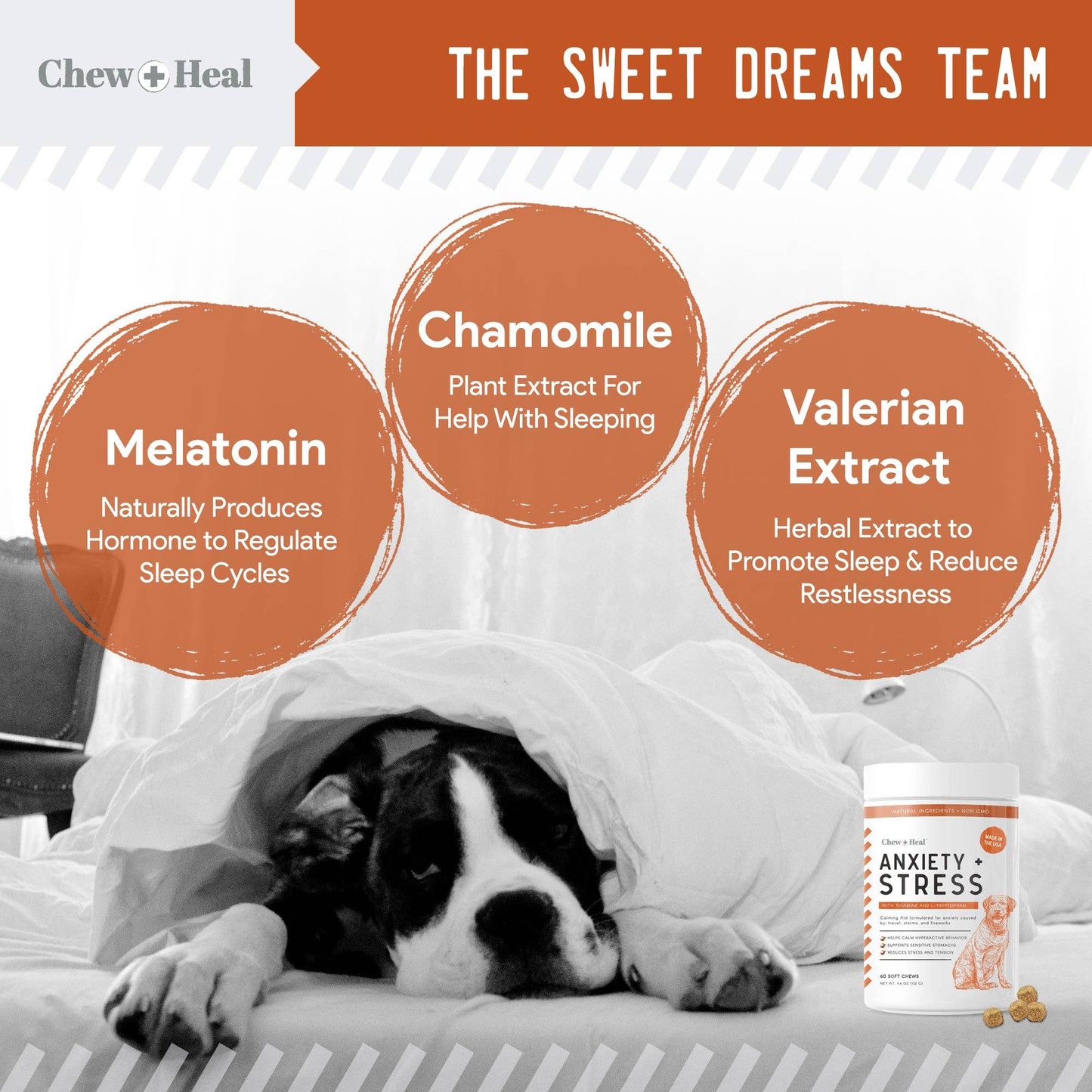 Chew + Heal - Calming Anxiety & Stress