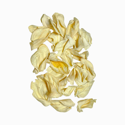 Jojo Modern Pets - All-Natural Single Ingredient Cow Ear Dog Chews (25/Bag)