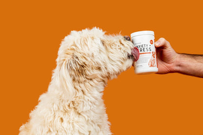 Chew + Heal - Calming Anxiety & Stress