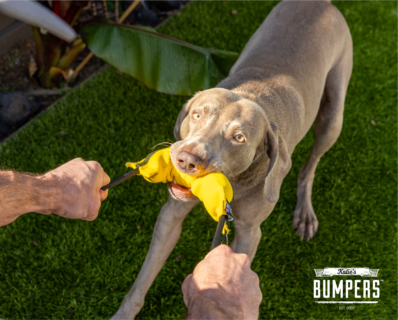 Katie's Bumpers - NEW!! KB Double Tug Rope