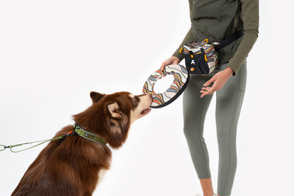 OllyDog - Super Flyer