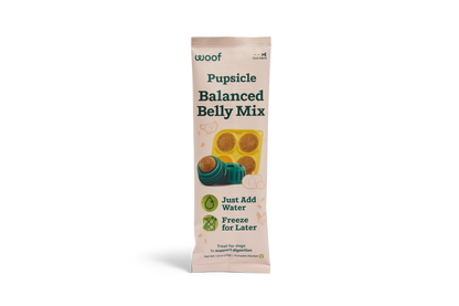 Woof - Pupsicle Treat Mix - 4 Pack Sampler