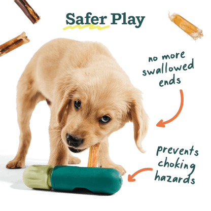 Woof - The BullySafe