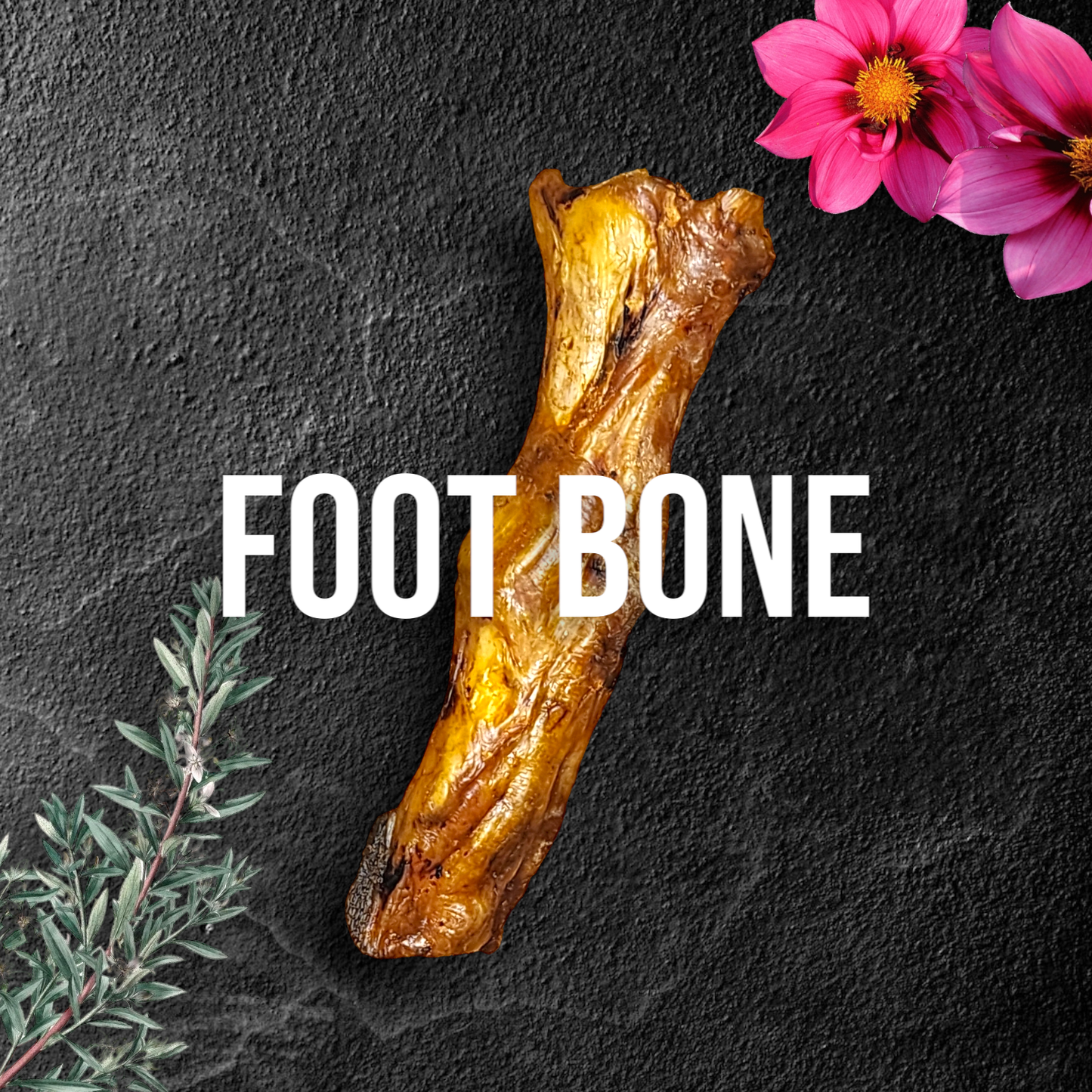 Savannah Pet Food - Ostrich Foot Bone Single-ingredient Novel Protein Dog Treat