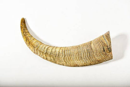 QT Dog, LLC - Gobi Goat Horn