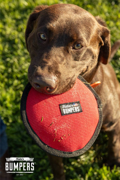 Katie's Bumpers - NEW!! KB Frequent Flyer Floater