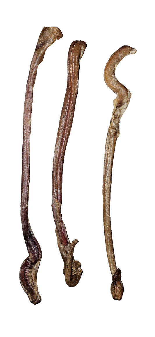 Blue's Colorado - Pet Provisions Lamb Pizzle 9-10"