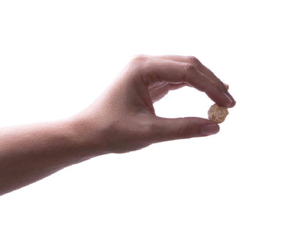 Preen Pets - Turkey Coconut Meatballs