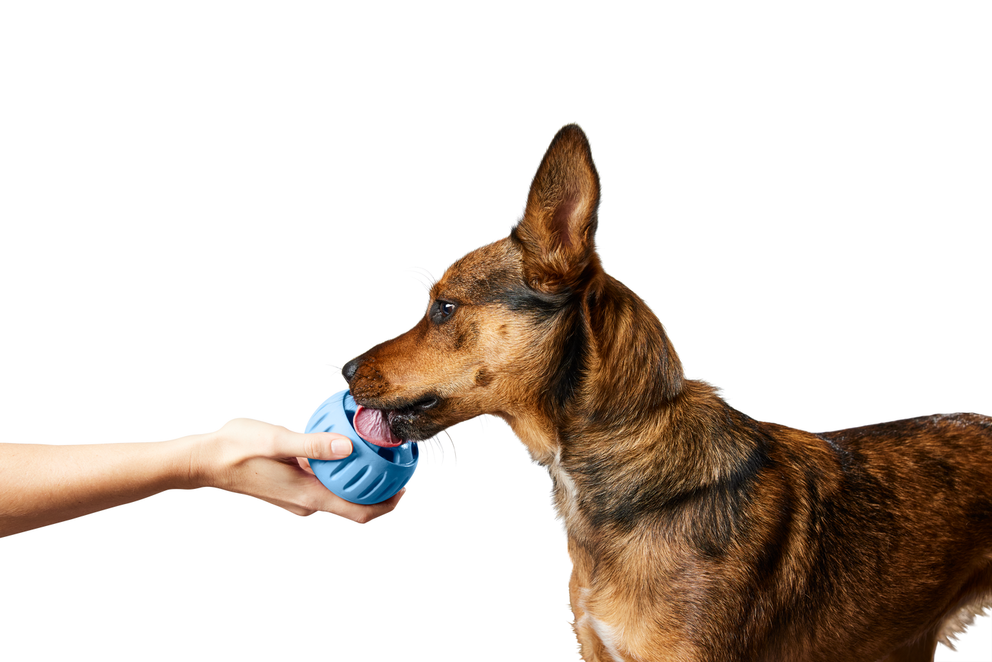 Woof - The Pupsicle - Wholesale Exclusive Color