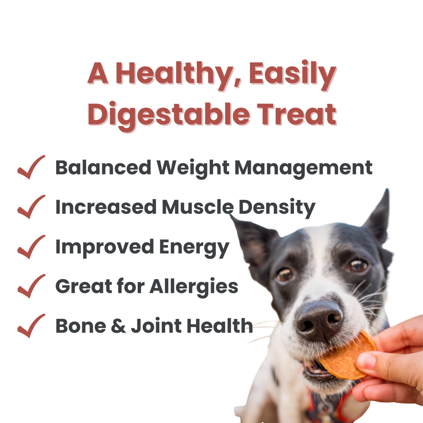 Farm to Pet - Turkey Chips Dog Treats