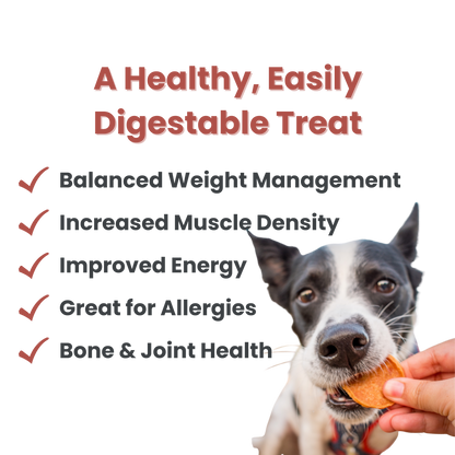 Farm to Pet - Turkey Chips Dog Treats