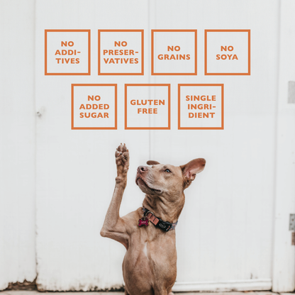 Jojo Modern Pets - All-Natural Premium Lamb Ear Dog Chews (3.5oz Bag)